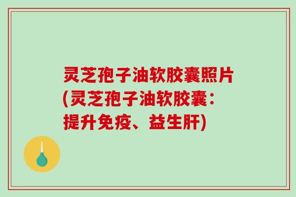 灵芝孢子油软胶囊照片(灵芝孢子油软胶囊：提升免疫、益生肝)