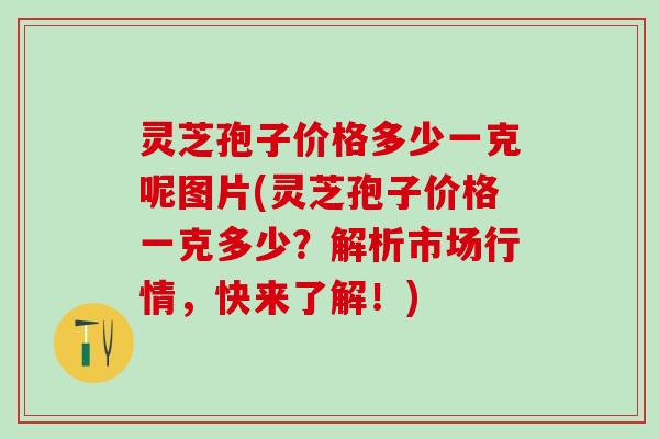 灵芝孢子价格多少一克呢图片(灵芝孢子价格一克多少?解析市场行情,快来了解!) 灵芝孢子价格多少一克呢图片(灵芝孢子价格一克多少?解析市场行情,快来了解!)