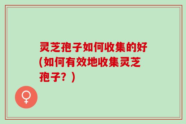 灵芝孢子如何收集的好(如何有效地收集灵芝孢子？)