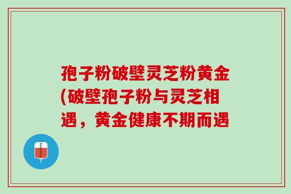 孢子粉破壁灵芝粉黄金(破壁孢子粉与灵芝相遇，黄金健康不期而遇