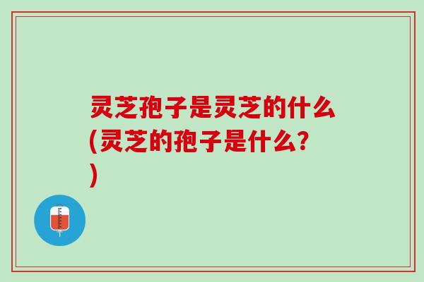 灵芝孢子是灵芝的什么(灵芝的孢子是什么？)