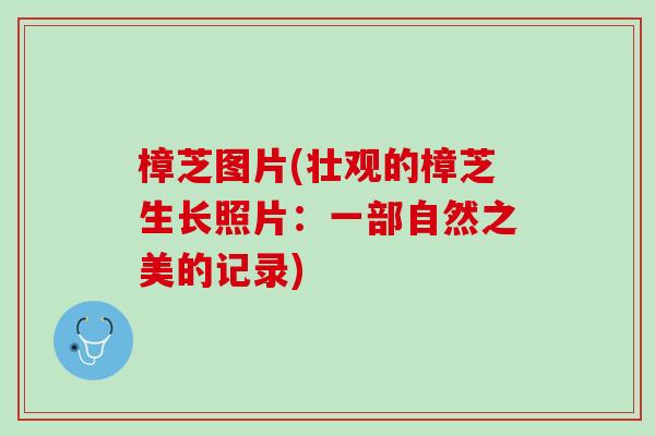 樟芝图片(壮观的樟芝生长照片：一部自然之美的记录)