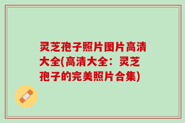 灵芝孢子照片图片高清大全(高清大全：灵芝孢子的完美照片合集)