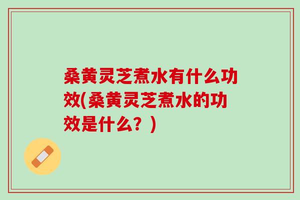 桑黄灵芝煮水有什么功效(桑黄灵芝煮水的功效是什么？)