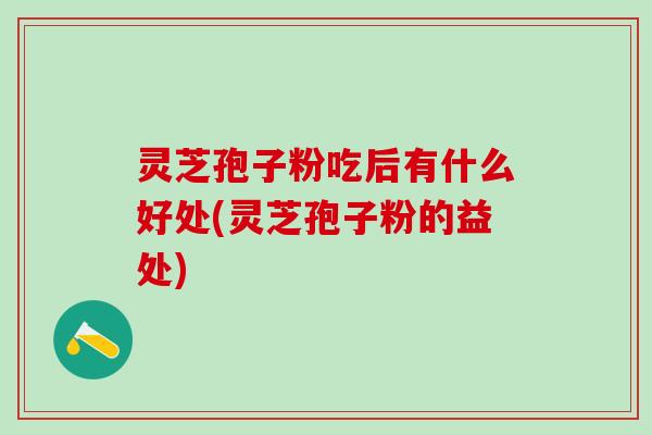 灵芝孢子粉吃后有什么好处(灵芝孢子粉的益处)