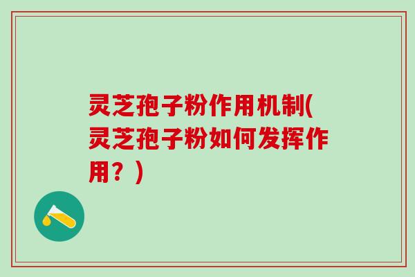 灵芝孢子粉作用机制(灵芝孢子粉如何发挥作用？)