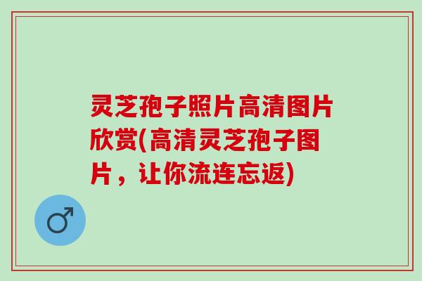 灵芝孢子照片高清图片欣赏(高清灵芝孢子图片，让你流连忘返)