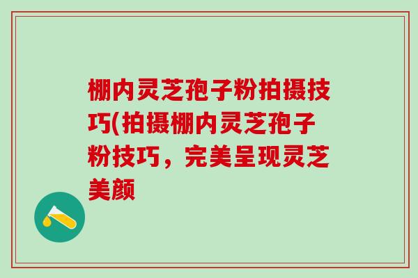 棚内灵芝孢子粉拍摄技巧(拍摄棚内灵芝孢子粉技巧，完美呈现灵芝美颜