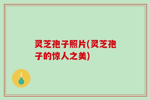灵芝孢子照片(灵芝孢子的惊人之美)