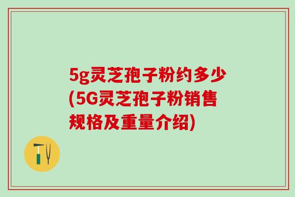 5g灵芝孢子粉约多少(5G灵芝孢子粉销售规格及重量介绍)