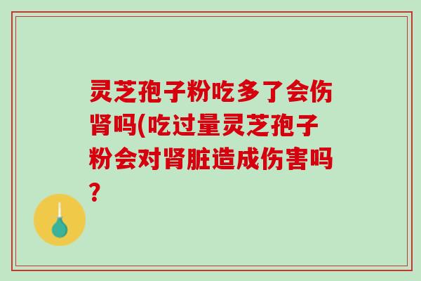 灵芝孢子粉吃多了会伤肾吗(吃过量灵芝孢子粉会对肾脏造成伤害吗？