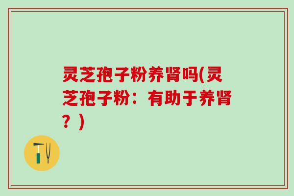 灵芝孢子粉养肾吗(灵芝孢子粉：有助于养肾？)