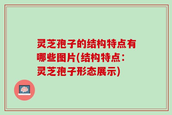 灵芝孢子的结构特点有哪些图片(结构特点：灵芝孢子形态展示)