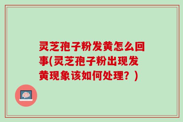 灵芝孢子粉发黄怎么回事(灵芝孢子粉出现发黄现象该如何处理?) 灵芝孢子粉发黄怎么回事(灵芝孢子粉出现发黄现象该如何处理?)