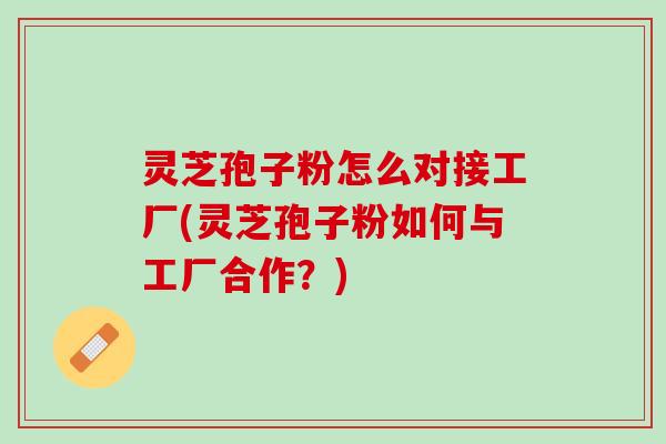 灵芝孢子粉怎么对接工厂(灵芝孢子粉如何与工厂合作?) 灵芝孢子粉怎么对接工厂(灵芝孢子粉如何与工厂合作?)