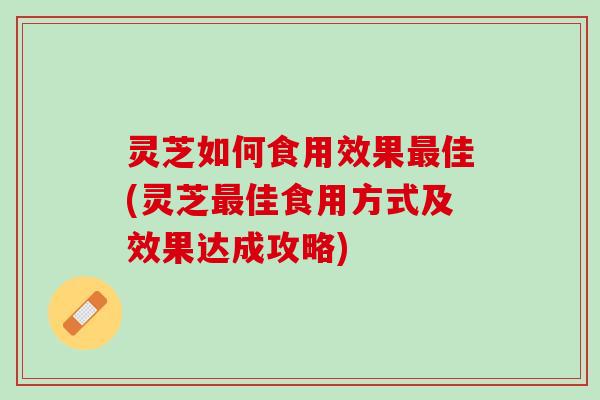 灵芝如何食用效果最佳(灵芝最佳食用方式及效果达成攻略)