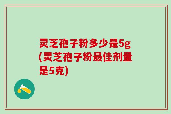 灵芝孢子粉多少是5g(灵芝孢子粉最佳剂量是5克)