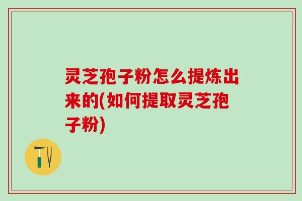 灵芝孢子粉怎么提炼出来的(如何提取灵芝孢子粉) 灵芝孢子粉怎么提炼出来的(如何提取灵芝孢子粉)