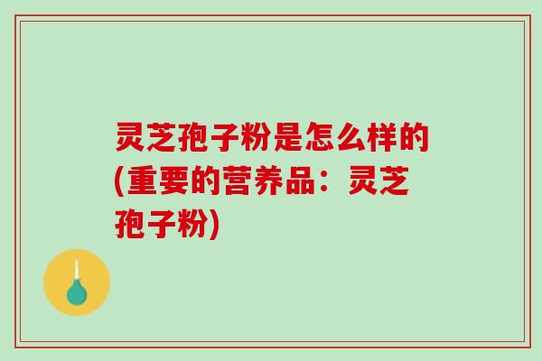 灵芝孢子粉是怎么样的(重要的营养品：灵芝孢子粉)