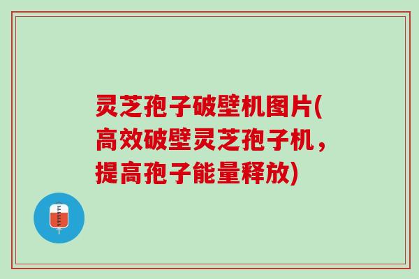 灵芝孢子破壁机图片(高效破壁灵芝孢子机，提高孢子能量释放)