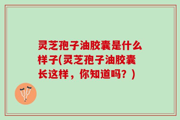 灵芝孢子油胶囊是什么样子(灵芝孢子油胶囊长这样，你知道吗？)