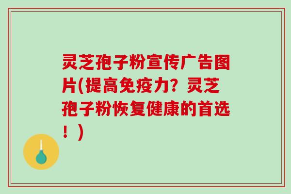 灵芝孢子粉宣传广告图片(提高免疫力？灵芝孢子粉恢复健康的首选！)