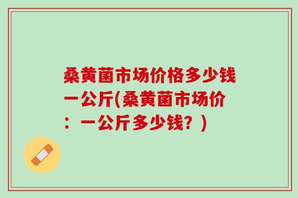 桑黄菌市场价格多少钱一公斤(桑黄菌市场价：一公斤多少钱？)