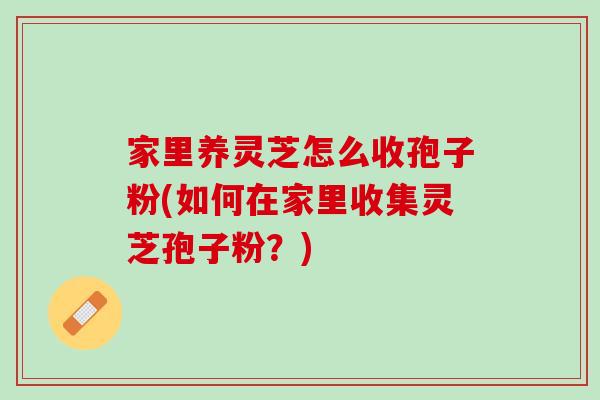 家里养灵芝怎么收孢子粉(如何在家里收集灵芝孢子粉？)