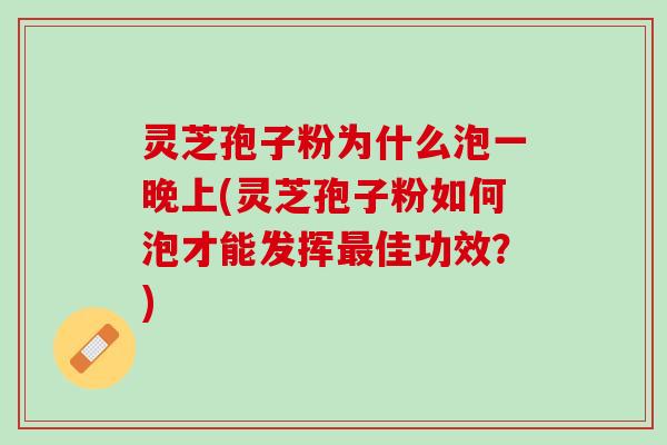 灵芝孢子粉为什么泡一晚上(灵芝孢子粉如何泡才能发挥最佳功效？)
