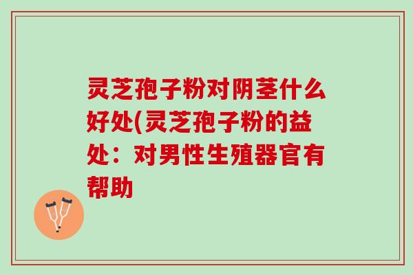 灵芝孢子粉对阴茎什么好处(灵芝孢子粉的益处：对男性生殖器官有帮助