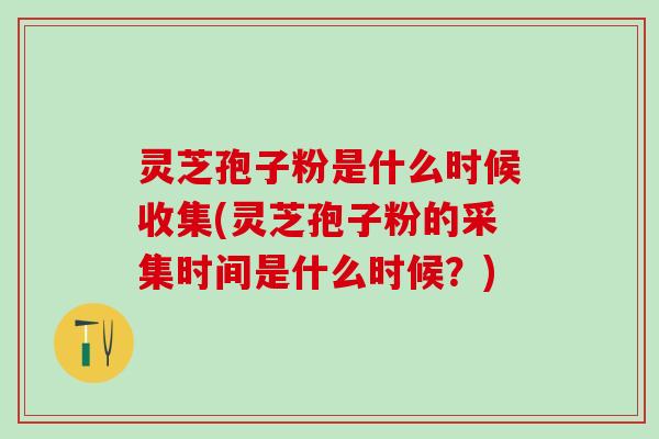灵芝孢子粉是什么时候收集(灵芝孢子粉的采集时间是什么时候？)