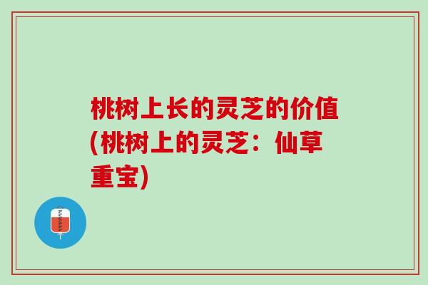 桃树上长的灵芝的价值(桃树上的灵芝:仙草重宝) 桃树上长的灵芝的价值(桃树上的灵芝:仙草重宝)