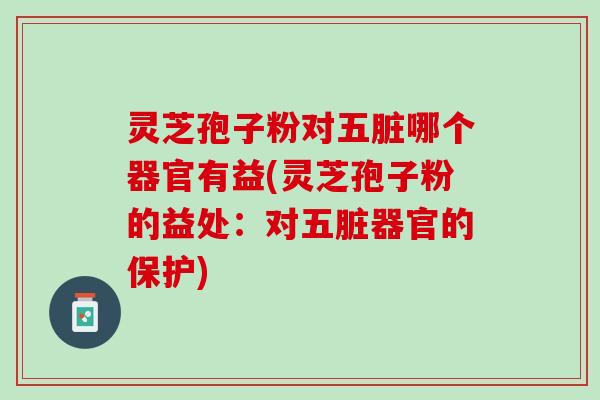 灵芝孢子粉对五脏哪个器官有益(灵芝孢子粉的益处：对五脏器官的保护)