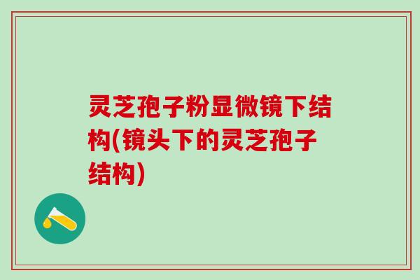 灵芝孢子粉显微镜下结构(镜头下的灵芝孢子结构)