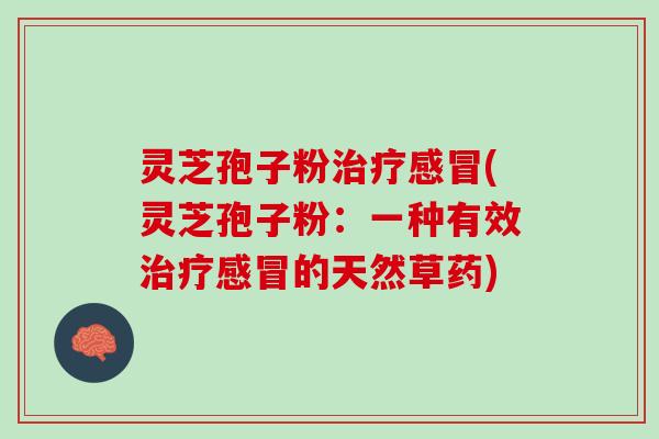 灵芝孢子粉(灵芝孢子粉:一种有效的天然草药) 灵芝孢子粉(灵芝孢子粉:一种有效的天然草药)
