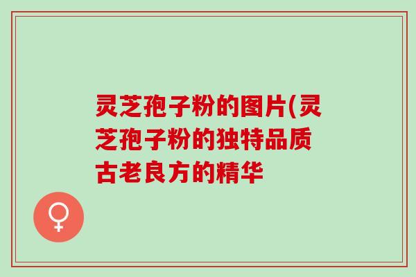 灵芝孢子粉的图片(灵芝孢子粉的独特品质 古老良方的精华