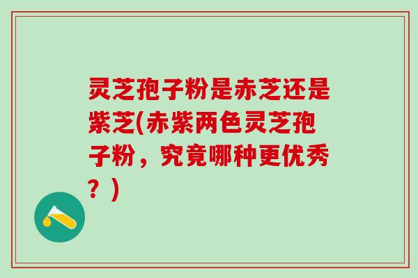 灵芝孢子粉是赤芝还是紫芝(赤紫两色灵芝孢子粉,究竟哪种更优秀?) 灵芝孢子粉是赤芝还是紫芝(赤紫两色灵芝孢子粉,究竟哪种更优秀?)