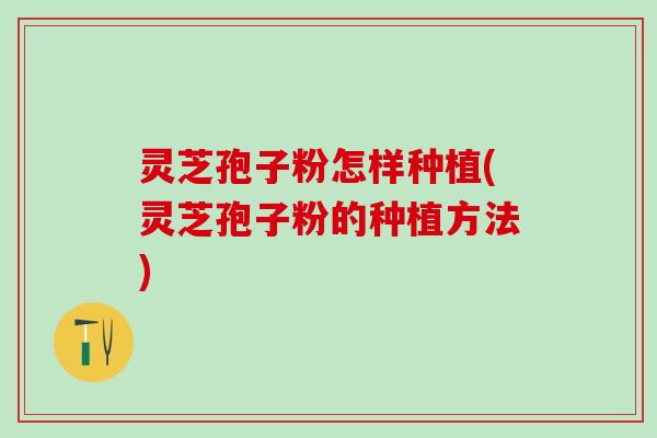 灵芝孢子粉怎样种植(灵芝孢子粉的种植方法) 灵芝孢子粉怎样种植(灵芝孢子粉的种植方法)