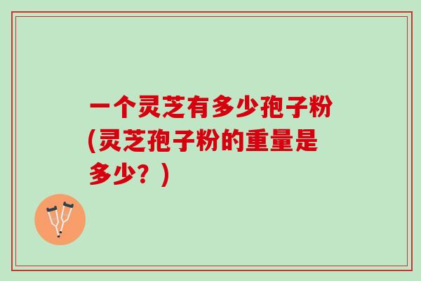 一个灵芝有多少孢子粉(灵芝孢子粉的重量是多少？)