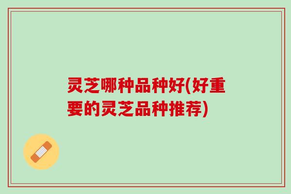 灵芝哪种品种好(好重要的灵芝品种推荐) 灵芝哪种品种好(好重要的灵芝品种推荐)