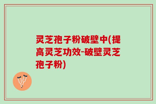 灵芝孢子粉破壁中(提高灵芝功效-破壁灵芝孢子粉)