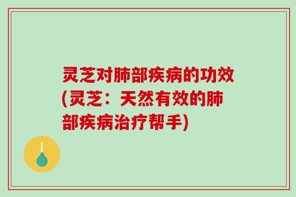 灵芝对肺部疾病的功效(灵芝：天然有效的肺部疾病治疗帮手)