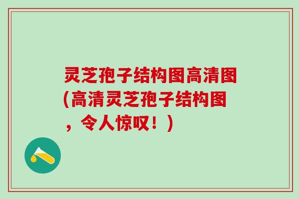 灵芝孢子结构图高清图(高清灵芝孢子结构图，令人惊叹！)