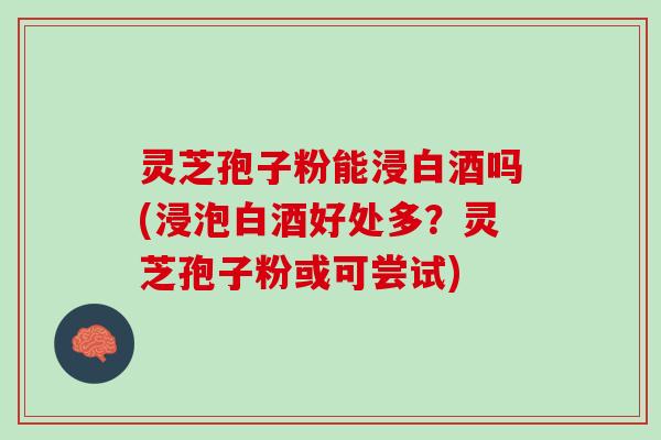 灵芝孢子粉能浸白酒吗(浸泡白酒好处多？灵芝孢子粉或可尝试)