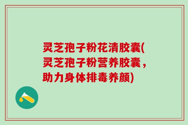 灵芝孢子粉花清胶囊(灵芝孢子粉营养胶囊，助力身体排毒养颜)