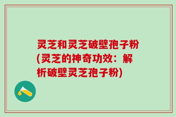 灵芝和灵芝破壁孢子粉(灵芝的神奇功效：解析破壁灵芝孢子粉)
