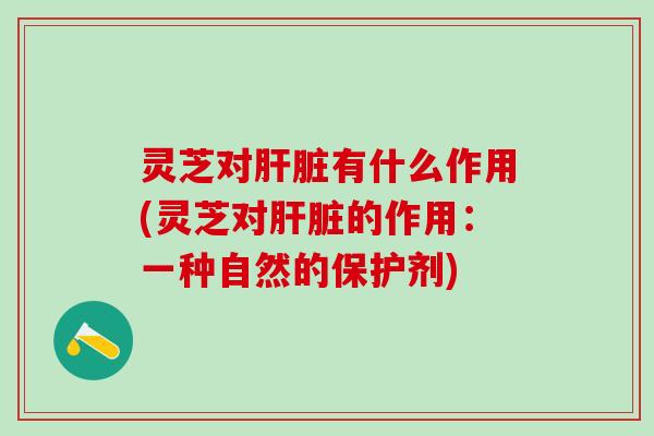 灵芝对肝脏有什么作用(灵芝对肝脏的作用：一种自然的保护剂)