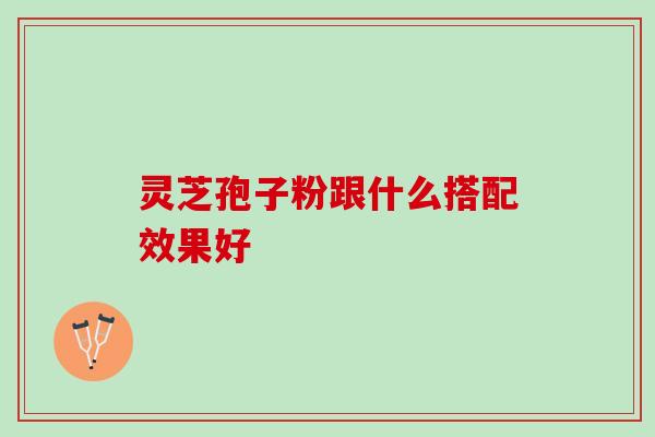 灵芝孢子粉跟什么搭配效果好