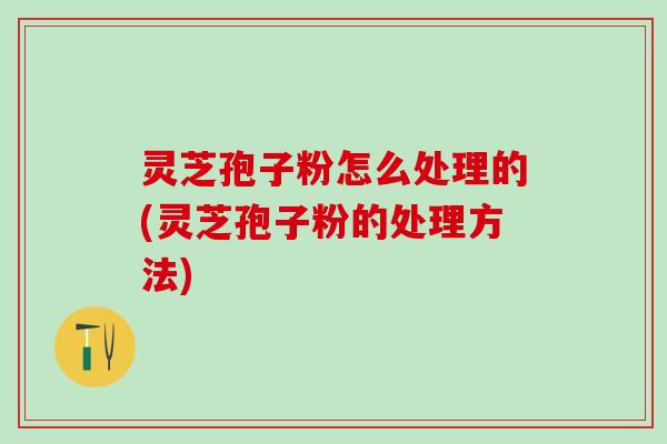 灵芝孢子粉怎么处理的(灵芝孢子粉的处理方法) 灵芝孢子粉怎么处理的(灵芝孢子粉的处理方法)