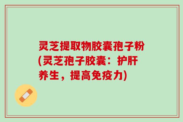 灵芝提取物胶囊孢子粉(灵芝孢子胶囊：护肝养生，提高免疫力)